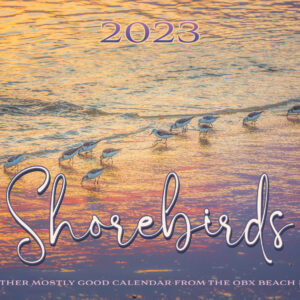 shorebirds cover